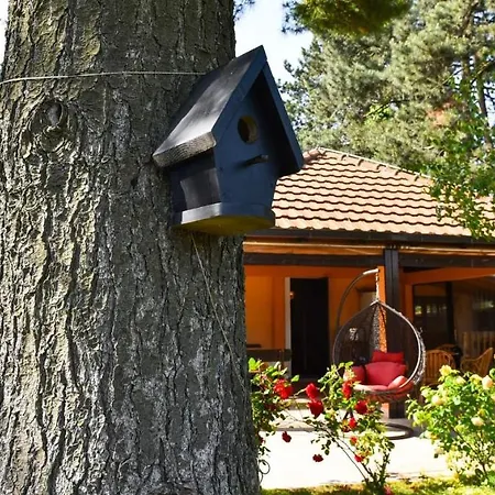 Tatil Evi Avala House